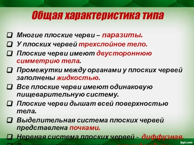 Общая характеристика типа Многие плоские черви – паразиты. У плоских червей трехслойное