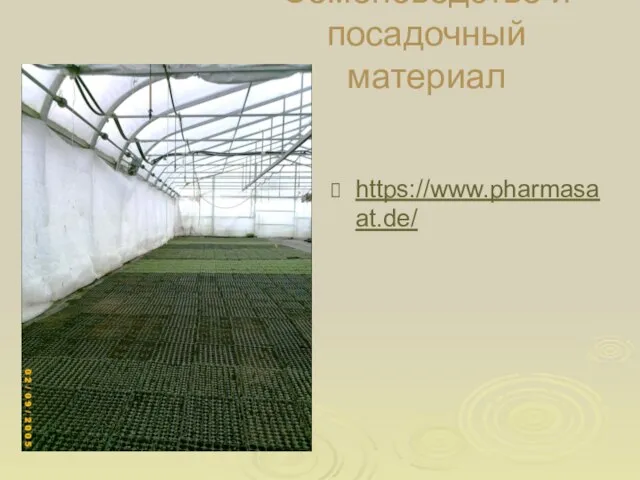 Семеноводство и посадочный материал https://www.pharmasaat.de/