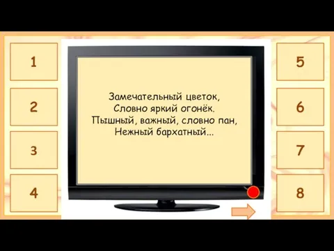 ТЮЛЬПАН Замечательный цветок, Словно яркий огонёк. Пышный, важный, словно пан, Нежный бархатный...