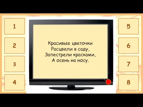 АСТРА Красивые цветочки Расцвели в саду, Запестрели красками, А осень на носу.