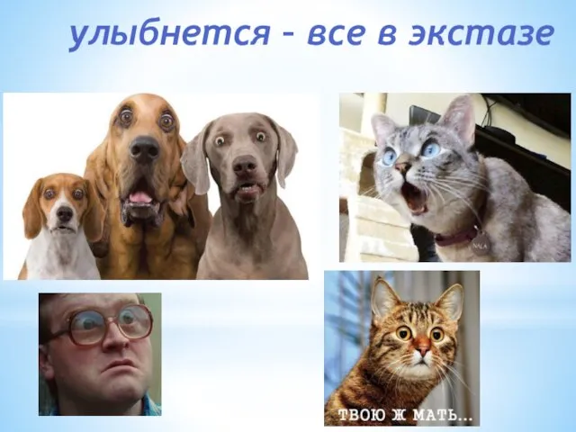 улыбнется – все в экстазе