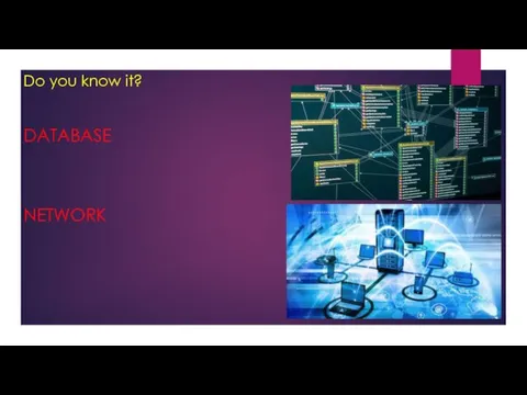 Do you know it? DATABASE NETWORK