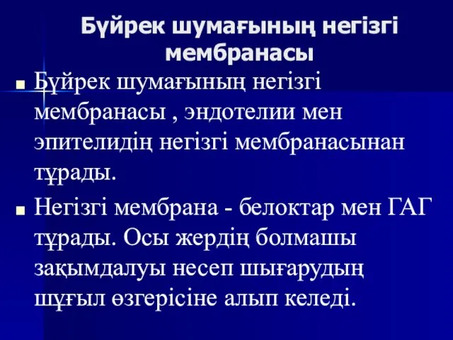 Бүйрек шумағының негізгі мембранасы Бүйрек шумағының негізгі мембранасы , эндотелии мен эпителидің