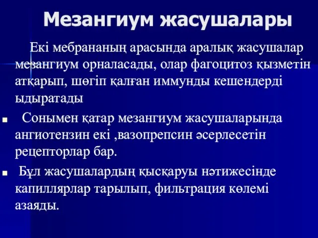 Мезангиум жасушалары Екі мебрананың арасында аралық жасушалар мезангиум орналасады, олар фагоцитоз қызметін