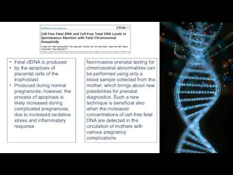 Fetal cfDNA is produced by the apoptosis of placental cells of the