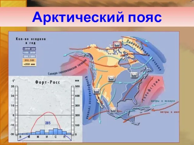 Арктический пояс