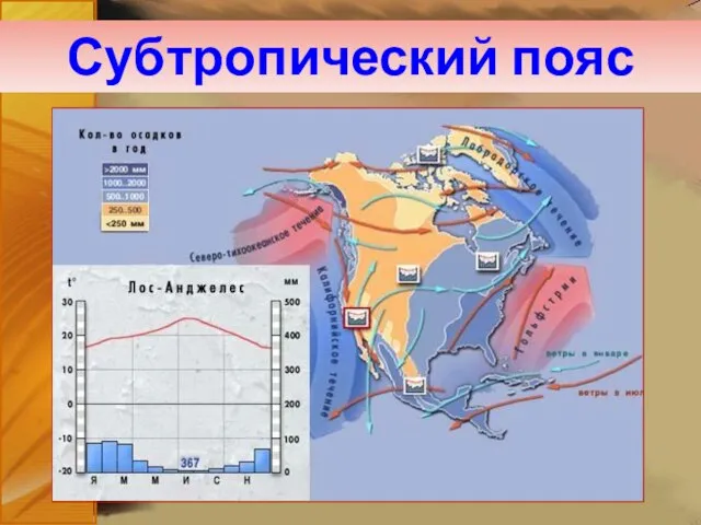 Субтропический пояс