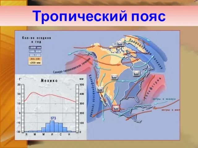 Тропический пояс