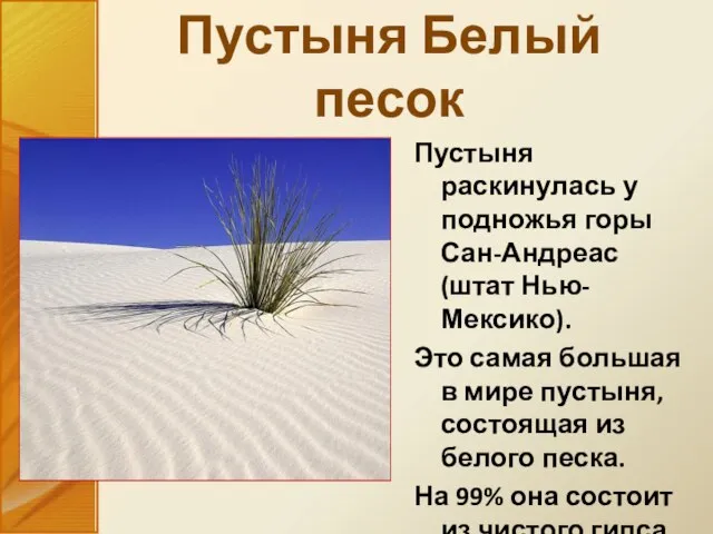 Пустыня раскинулась у подножья горы Сан-Андреас (штат Нью-Мексико). Это самая большая в