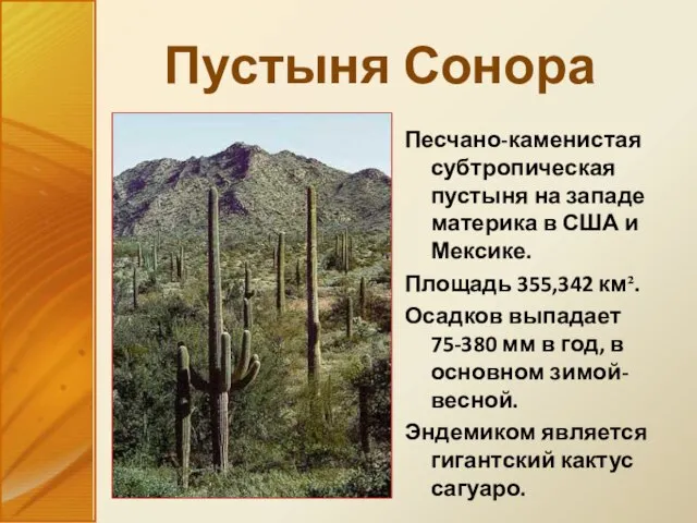 Пустыня Сонора Песчано-каменистая субтропическая пустыня на западе материка в США и Мексике.