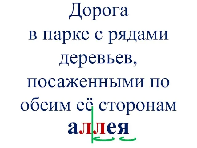 Дорога в парке с рядами деревьев, посаженными по обеим её сторонам аллея