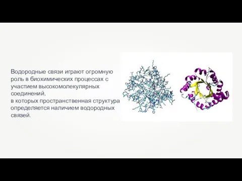 Водородные связи играют огромную роль в биохимических процессах с участием высокомолекулярных соединений,