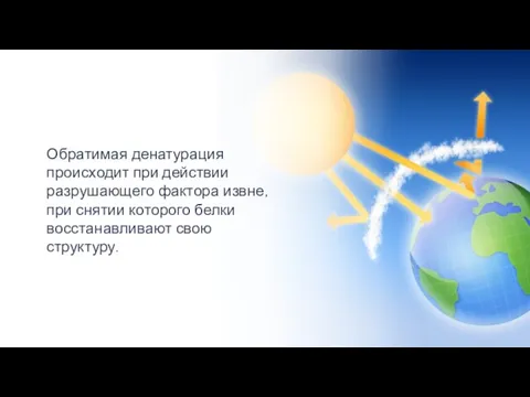 Обратимая денатурация происходит при действии разрушающего фактора извне, при снятии которого белки восстанавливают свою структуру.