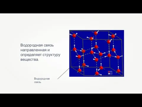 Водородная связь направленная и определяет структуру вещества. Водородная связь