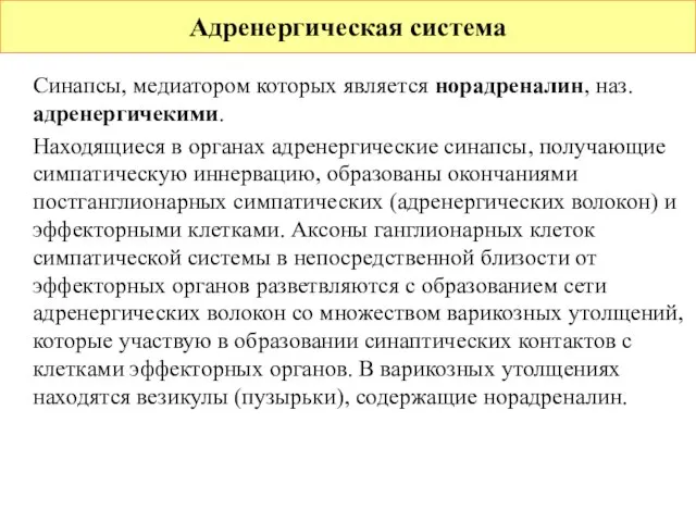 Синапсы, медиатором которых является норадреналин, наз. адренергичекими. Находящиеся в органах адренергические синапсы,