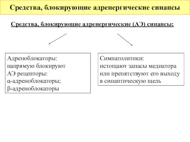 Средства, блокирующие адренергические (АЭ) синапсы: Средства, блокирующие адренергические синапсы Адреноблокаторы: напрямую блокируют