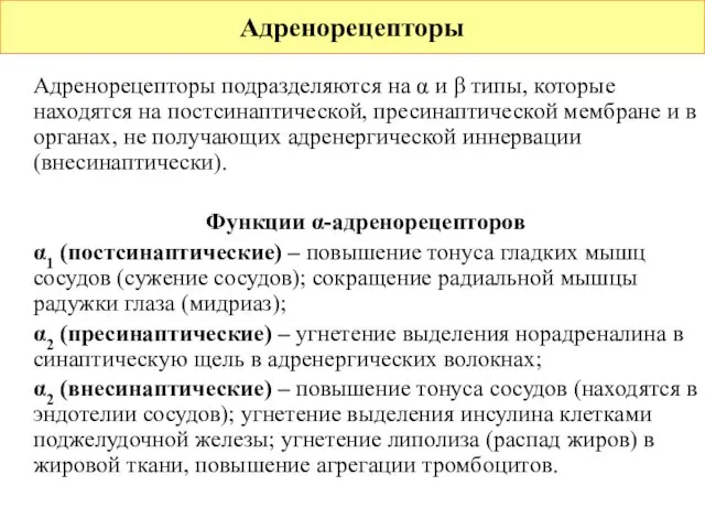 Адренорецепторы подразделяются на α и β типы, которые находятся на постсинаптической, пресинаптической