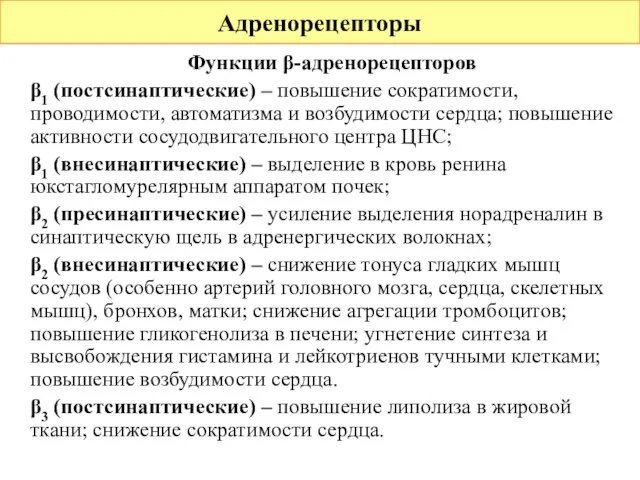 Функции β-адренорецепторов β1 (постсинаптические) – повышение сократимости, проводимости, автоматизма и возбудимости сердца;