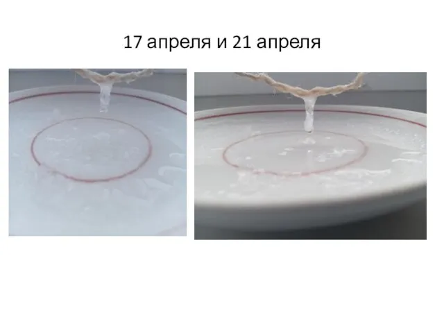 17 апреля и 21 апреля