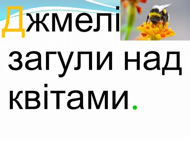 Джмелі загули над квітами.