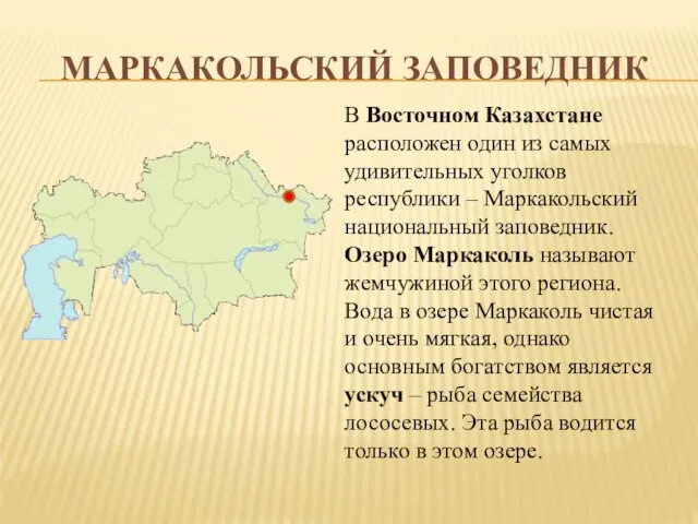 МАРКАКОЛЬСКИЙ ЗАПОВЕДНИК В Восточном Казахстане расположен один из самых удивительных уголков республики