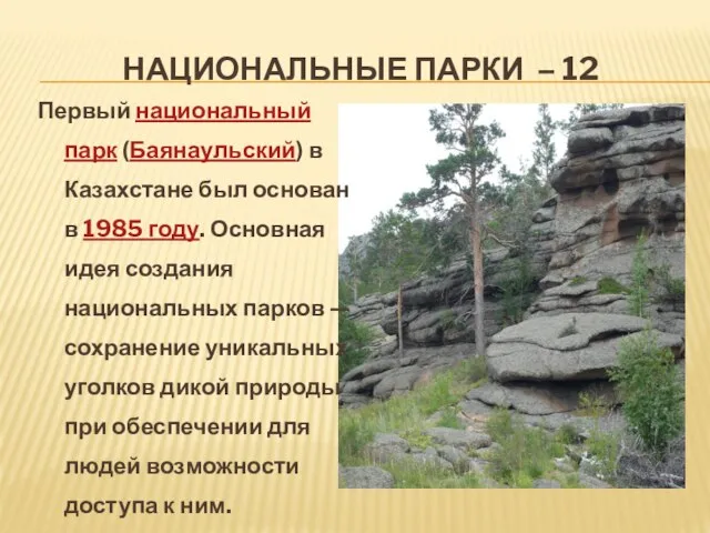 НАЦИОНАЛЬНЫЕ ПАРКИ – 12 Первый национальный парк (Баянаульский) в Казахстане был основан