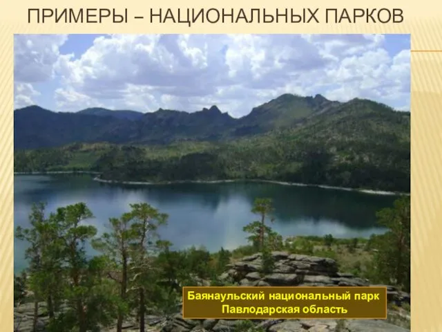 ПРИМЕРЫ – НАЦИОНАЛЬНЫХ ПАРКОВ Баянаульский национальный парк Павлодарская область