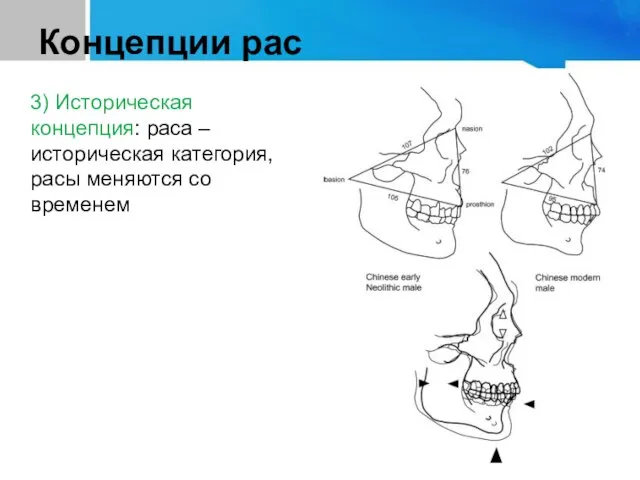 Концепции рас 3) Историческая концепция: раса – историческая категория, расы меняются со временем