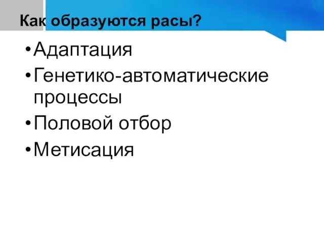 Как образуются расы? Адаптация Генетико-автоматические процессы Половой отбор Метисация