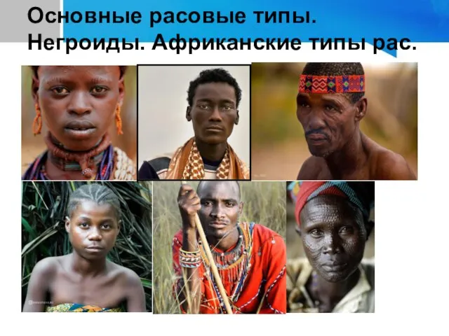 Основные расовые типы. Негроиды. Африканские типы рас.