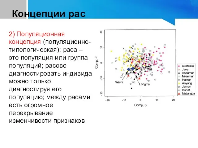 Концепции рас 2) Популяционная концепция (популяционно-типологическая): раса – это популяция или группа