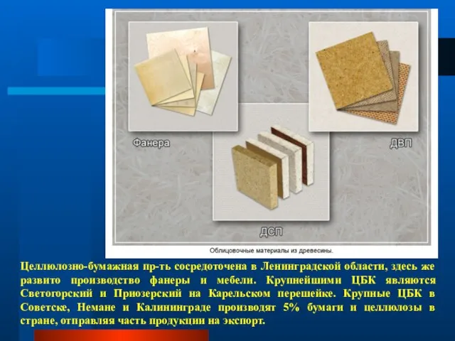 Целлюлозно-бумажная пр-ть сосредоточена в Ленинградской области, здесь же развито производство фанеры и