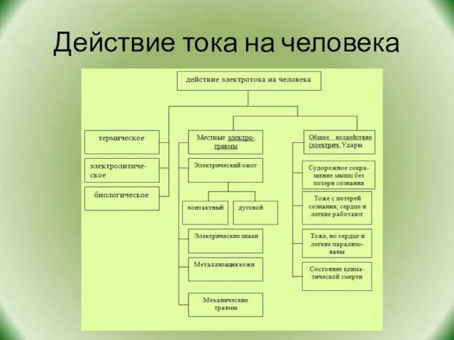 Действие тока на человека