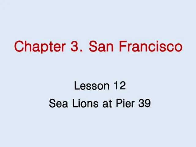 Chapter 3. San Francisco Lesson 12 Sea Lions at Pier 39