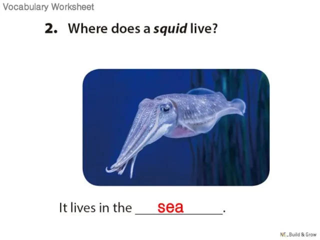 sea Vocabulary Worksheet