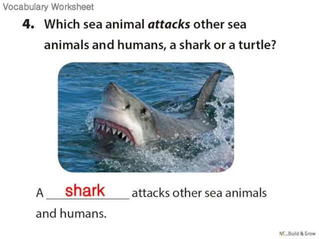 shark Vocabulary Worksheet