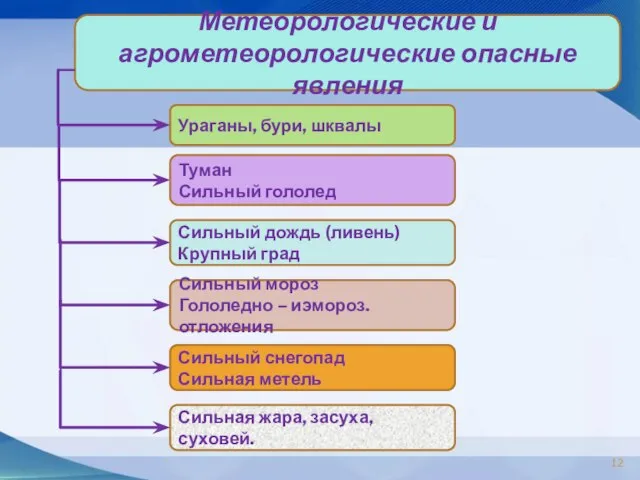 Метеорологические и агрометеорологические опасные явления Ураганы, бури, шквалы Туман Сильный гололед Сильный