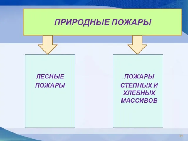 ПРИРОДНЫЕ ПОЖАРЫ ЛЕСНЫЕ ПОЖАРЫ ПОЖАРЫ СТЕПНЫХ И ХЛЕБНЫХ МАССИВОВ