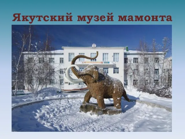 Якутский музей мамонта