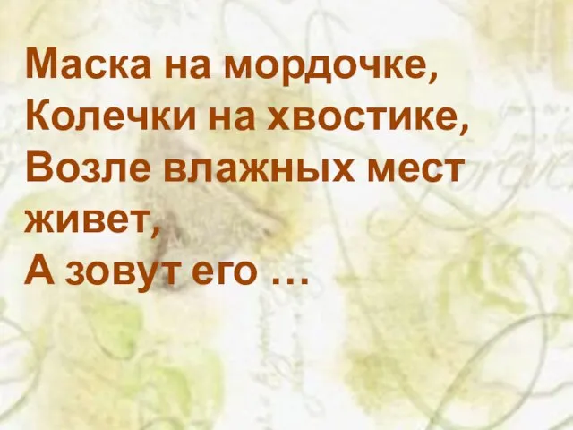 Маска на мордочке, Колечки на хвостике, Возле влажных мест живет, А зовут его …