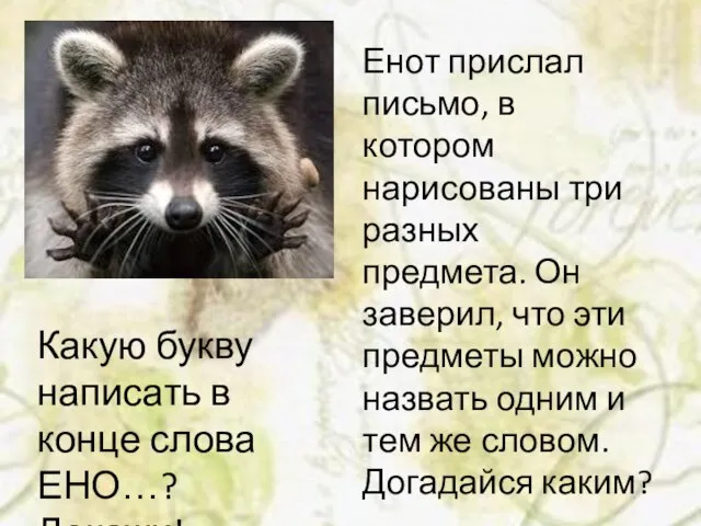 Какую букву написать в конце слова ЕНО…? Докажи! Енот прислал письмо, в