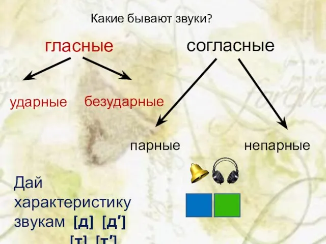 гласные согласные Какие бывают звуки? ударные безударные парные непарные Дай характеристику звукам [д] [д′] [т] [т′]