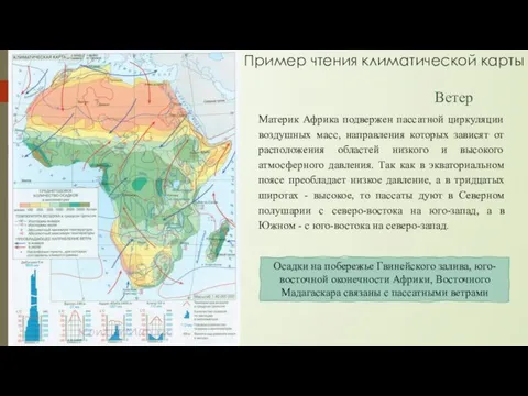 Пример чтения климатической карты Материк Африка подвержен пассатной циркуляции воздушных масс, направления