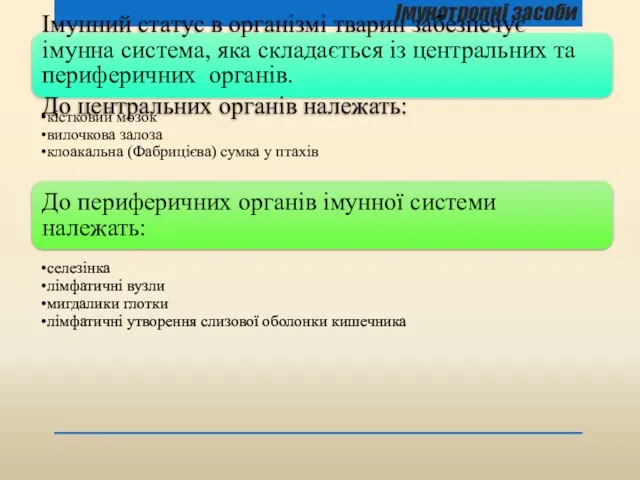 Імунотропні засоби Імунний статус в організмі тварин забезпечує імунна система, яка складається