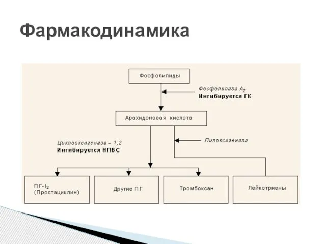 Фармакодинамика