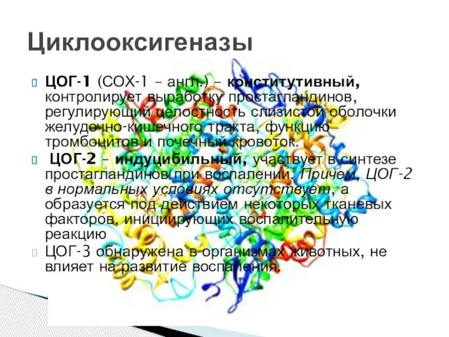 ЦОГ-1 (СОХ-1 – англ.) – конститутивный, контролирует выработку простагландинов, регулирующий целостность слизистой