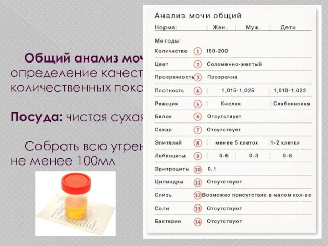 Общий анализ мочи (ОАМ) - определение качественных и количественных показателей мочи. Посуда: