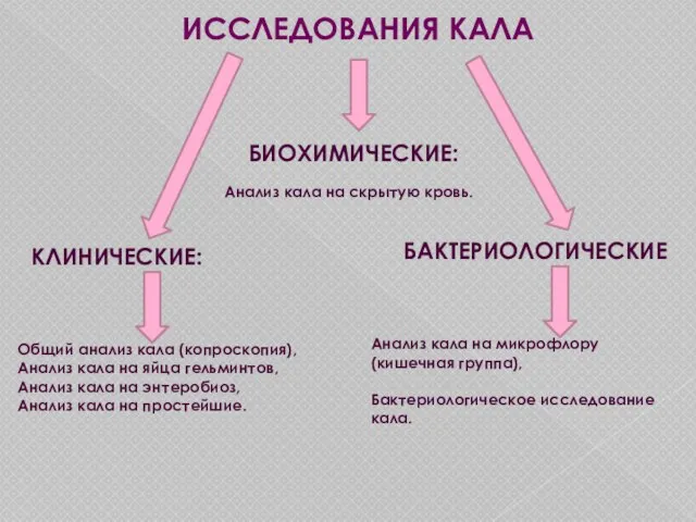 ИССЛЕДОВАНИЯ КАЛА КЛИНИЧЕСКИЕ: БАКТЕРИОЛОГИЧЕСКИЕ БИОХИМИЧЕСКИЕ: Общий анализ кала (копроскопия), Анализ кала на