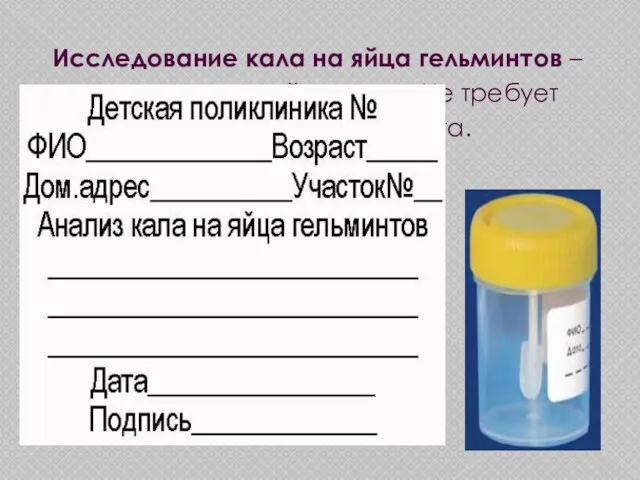 Исследование кала на яйца гельминтов – диагностика глистной инвазии. Не требует специальной