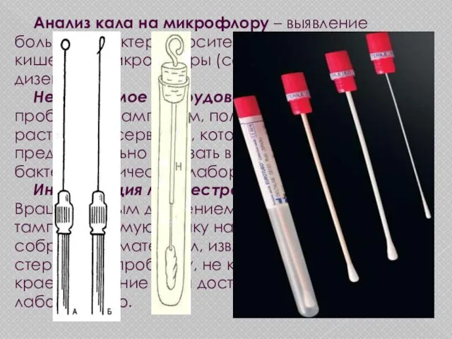 Анализ кала на микрофлору – выявление больных и бактерионосителей патогенной кишечной микрофлоры